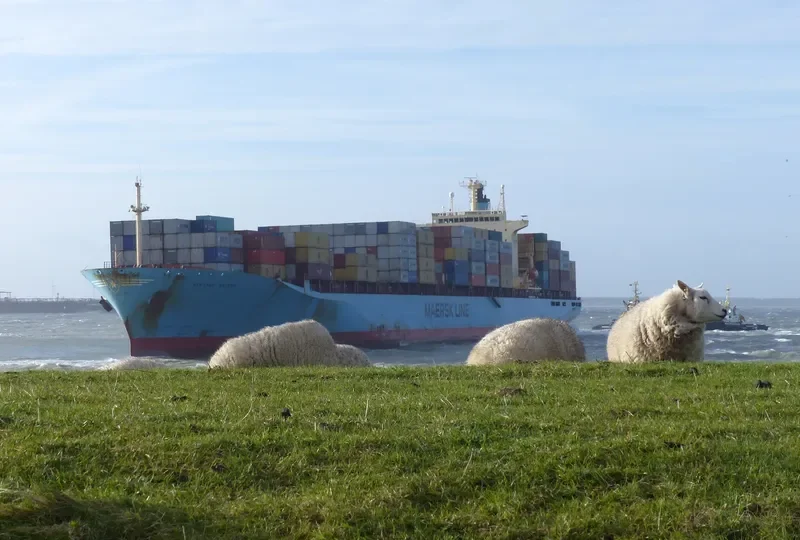 SEA LAND METEOR Container Ship IMO 9106209 photo 6
