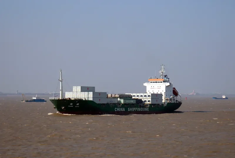 XIANG WANG Container Ship IMO 9106352 photo 2