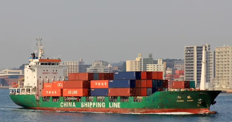 XIANG WANG Container Ship IMO 9106352 photo 5