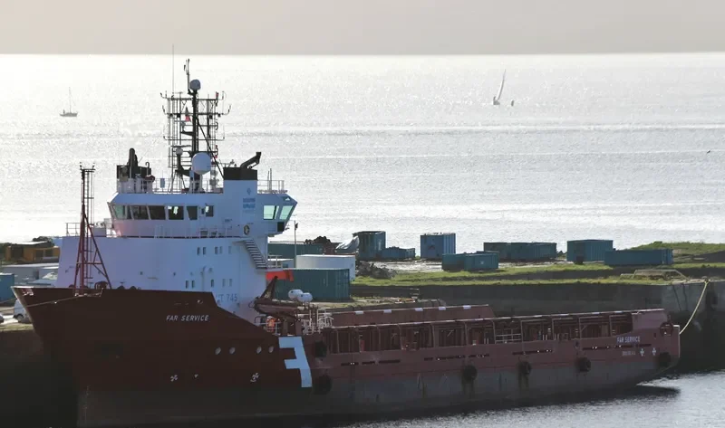 VN PARTISAN Offshore Vessel IMO 9106431 photo 5