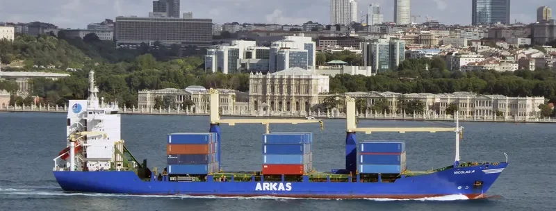 TANGER A Container Ship IMO 9106443 photo 6
