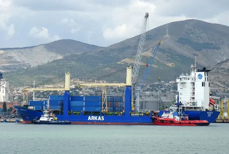 TANGER A Container Ship IMO 9106443 photo 8