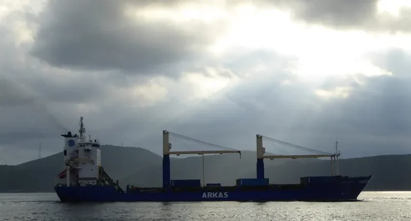 TANGER A Container Ship IMO 9106443 photo 10