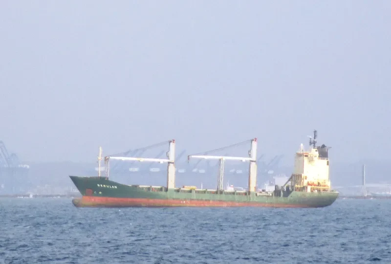 BERULAN Container Ship IMO 9106455
