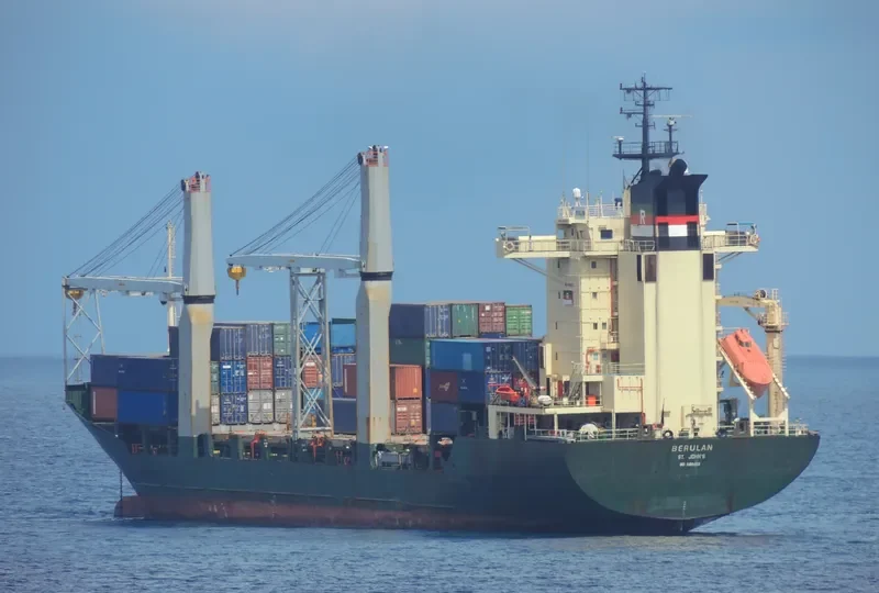 BERULAN Container Ship IMO 9106455 photo 4