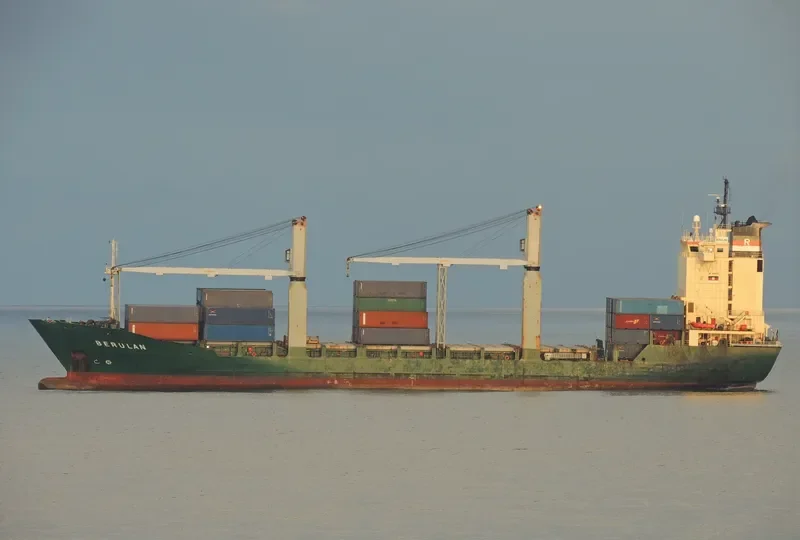 BERULAN Container Ship IMO 9106455 photo 5