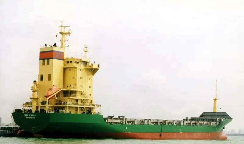 CHRISTY Container Ship IMO 9106508 photo 4