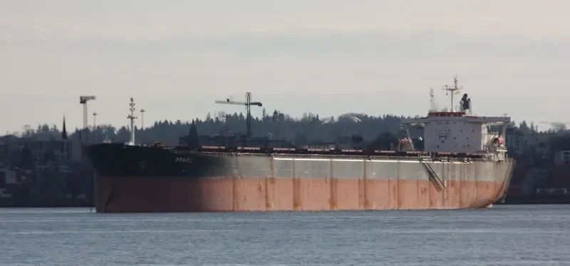 BRAZIL Bulk Carrier IMO 9106613 photo 2