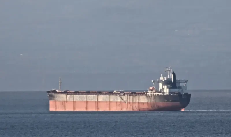 BRAZIL Bulk Carrier IMO 9106613 photo 3