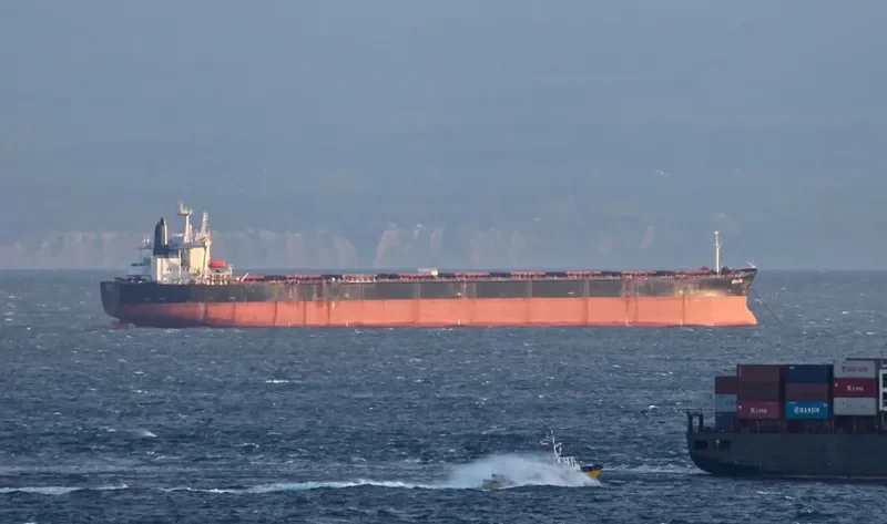 BRAZIL Bulk Carrier IMO 9106613 photo 4