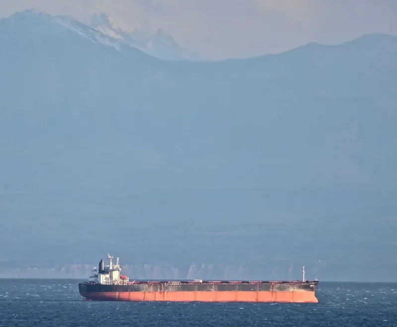 BRAZIL Bulk Carrier IMO 9106613 photo 5
