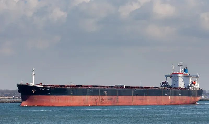 BRAZIL Bulk Carrier IMO 9106613 photo 6