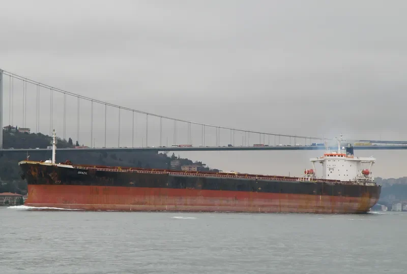 BRAZIL Bulk Carrier IMO 9106613 photo 7