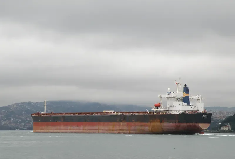 BRAZIL Bulk Carrier IMO 9106613 photo 8