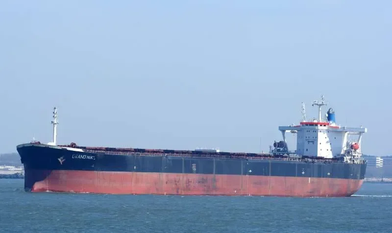 BRAZIL Bulk Carrier IMO 9106613 photo 9