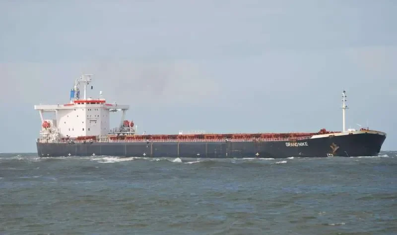BRAZIL Bulk Carrier IMO 9106613 photo 10