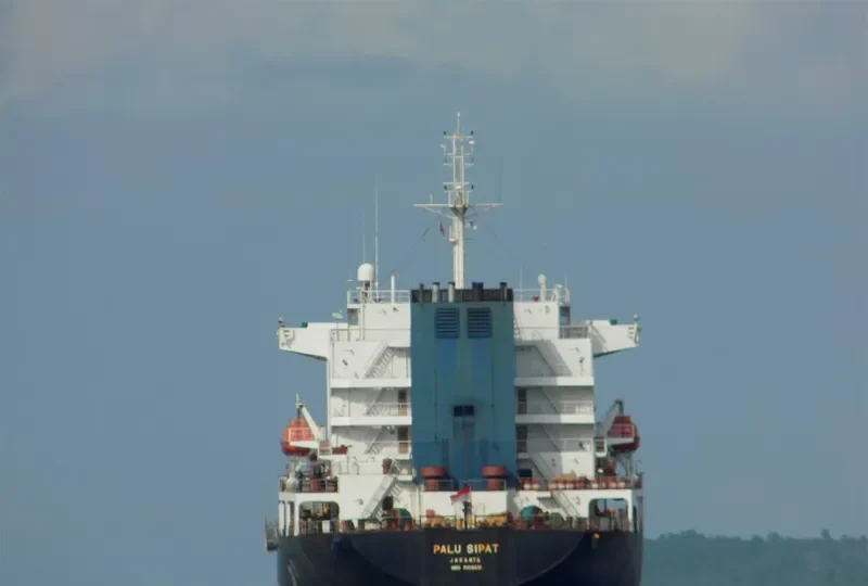 PALU SIPAT/PERTAMINA 1025 Tanker IMO 9106651 photo 2