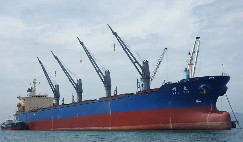 YIN TAI Bulk Carrier IMO 9106716