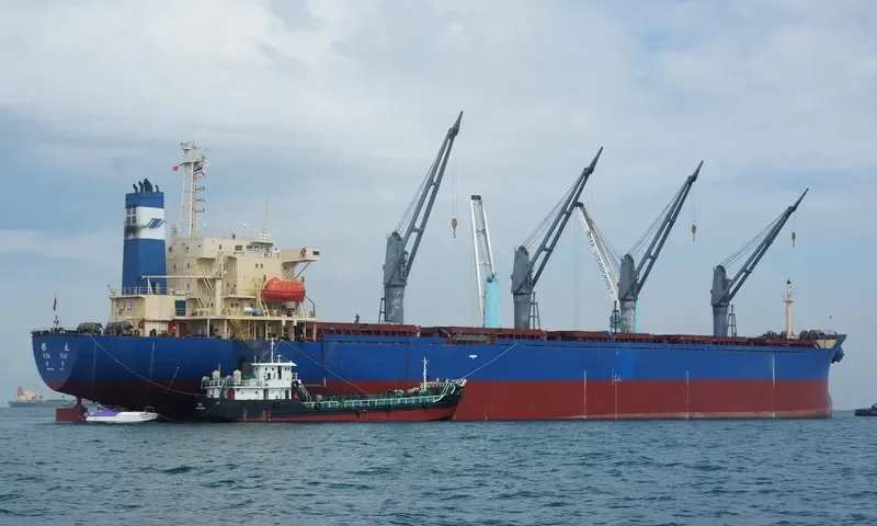 YIN TAI Bulk Carrier IMO 9106716 photo 2
