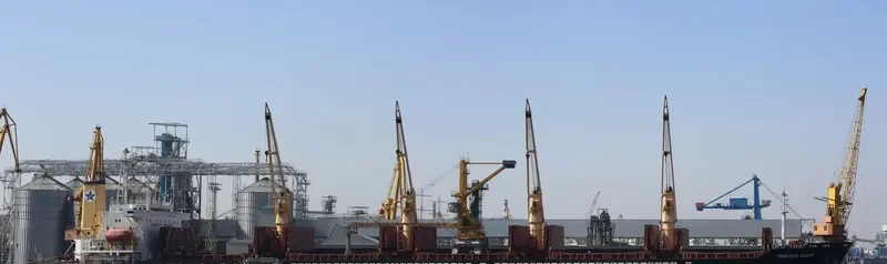 PRINCESS SUZAN Bulk Carrier IMO 9106730