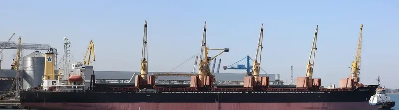 PRINCESS SUZAN Bulk Carrier IMO 9106730 photo 2