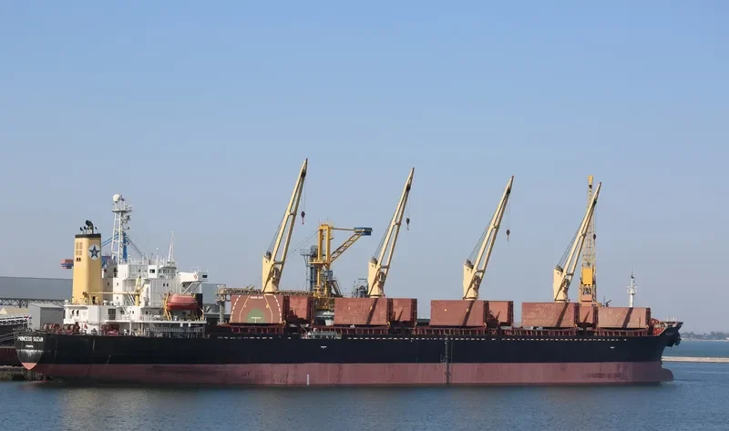 PRINCESS SUZAN Bulk Carrier IMO 9106730 photo 3