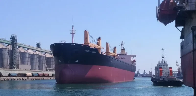 PRINCESS SUZAN Bulk Carrier IMO 9106730 photo 4
