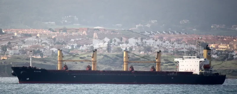 PRINCESS SUZAN Bulk Carrier IMO 9106730 photo 5