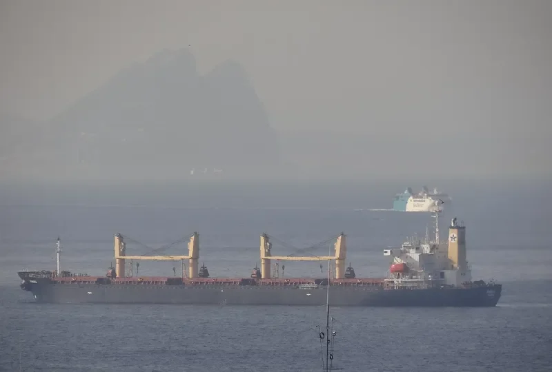 PRINCESS SUZAN Bulk Carrier IMO 9106730 photo 6