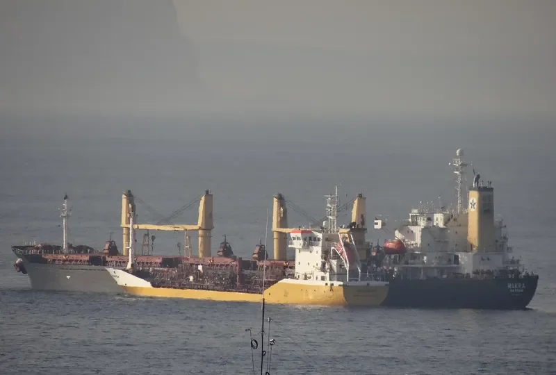 PRINCESS SUZAN Bulk Carrier IMO 9106730 photo 7