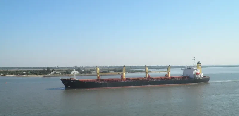 PRINCESS SUZAN Bulk Carrier IMO 9106730 photo 9