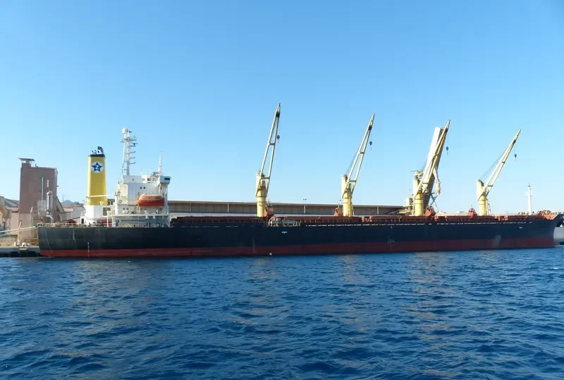 PRINCESS SUZAN Bulk Carrier IMO 9106730 photo 10