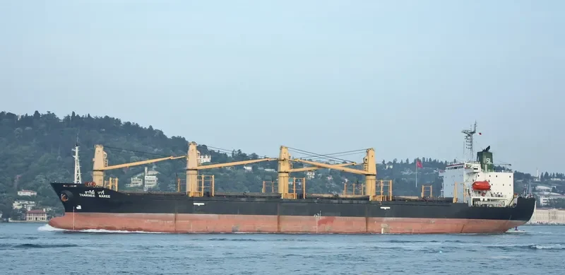 THARINEE NAREE Bulk Carrier IMO 9106742 photo 2