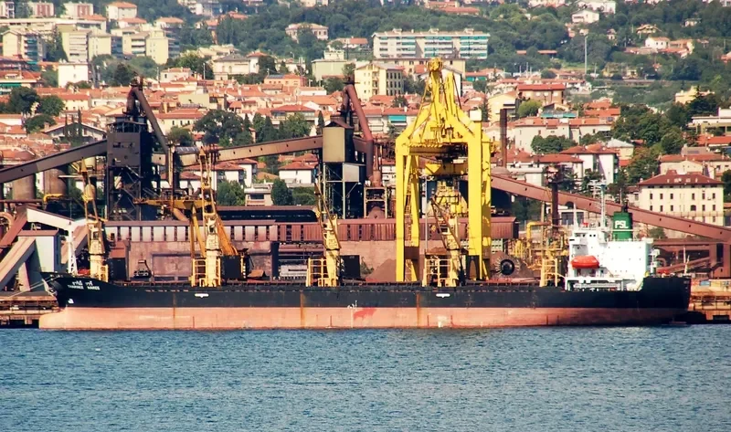THARINEE NAREE Bulk Carrier IMO 9106742 photo 3