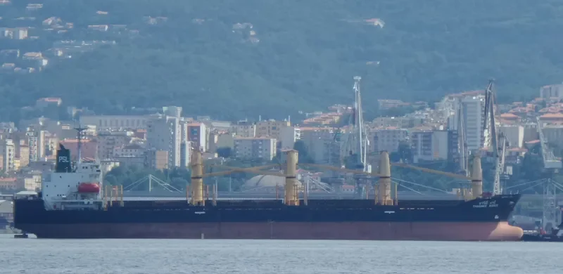 THARINEE NAREE Bulk Carrier IMO 9106742 photo 5