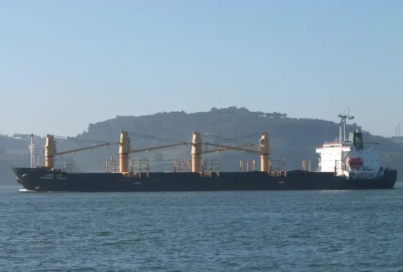 THARINEE NAREE Bulk Carrier IMO 9106742 photo 8