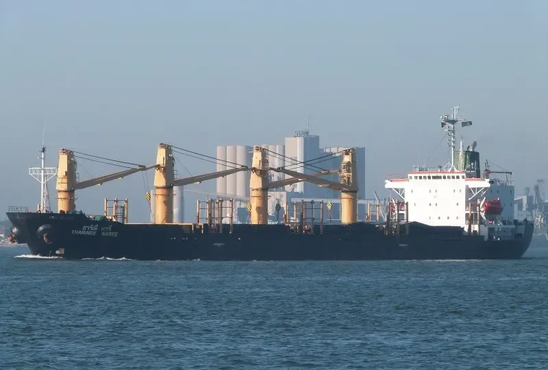 THARINEE NAREE Bulk Carrier IMO 9106742 photo 9