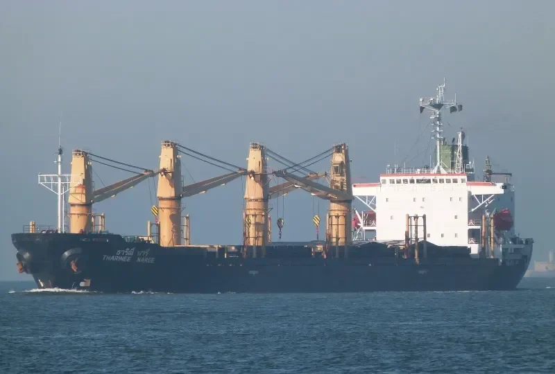 THARINEE NAREE Bulk Carrier IMO 9106742 photo 10