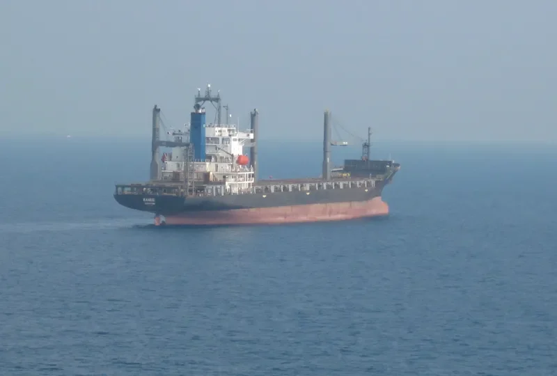 RANEE Container Ship IMO 9106792