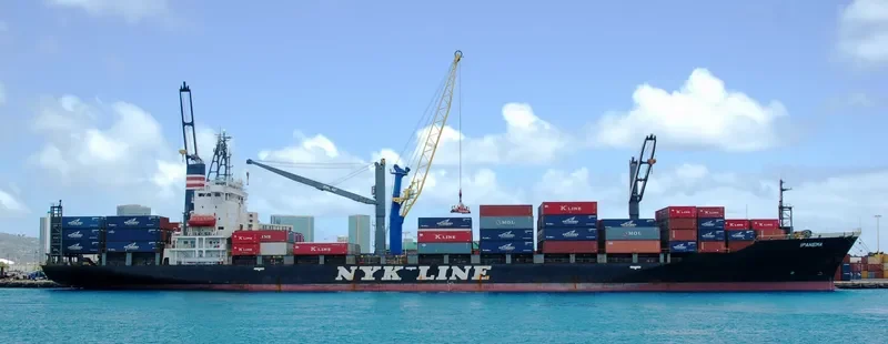 RANEE Container Ship IMO 9106792 photo 2