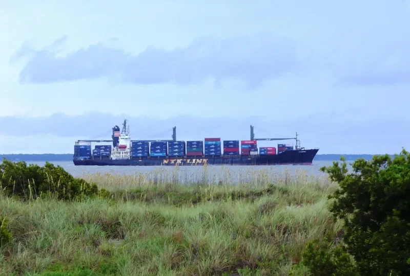 RANEE Container Ship IMO 9106792 photo 3