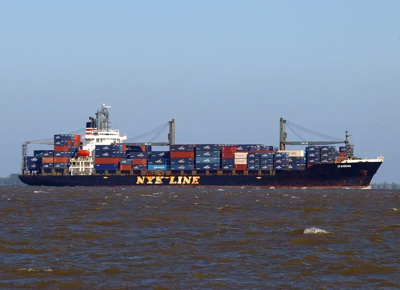 RANEE Container Ship IMO 9106792 photo 4