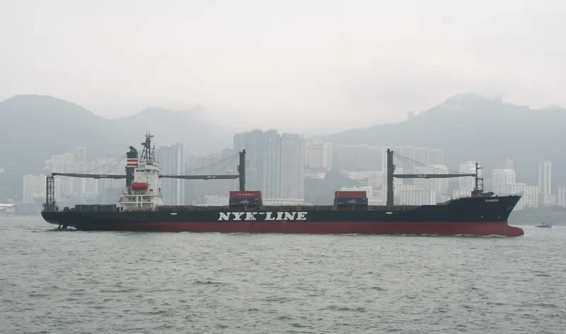 RANEE Container Ship IMO 9106792 photo 6