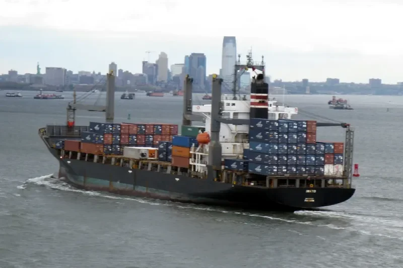 DAMALI Container Ship IMO 9106807