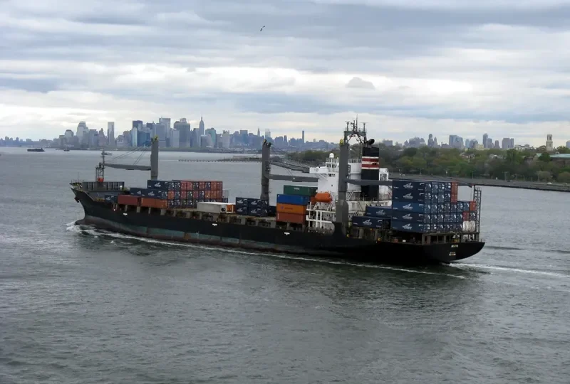 DAMALI Container Ship IMO 9106807 photo 2