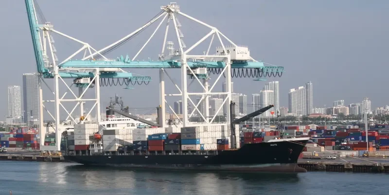 DAMALI Container Ship IMO 9106807 photo 3