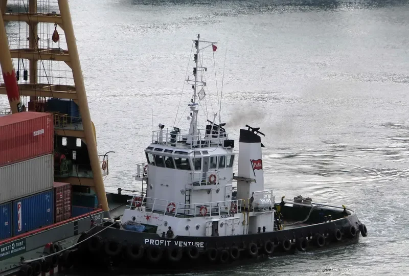 PROFIT VENTURE General Cargo IMO 9106845 photo 6