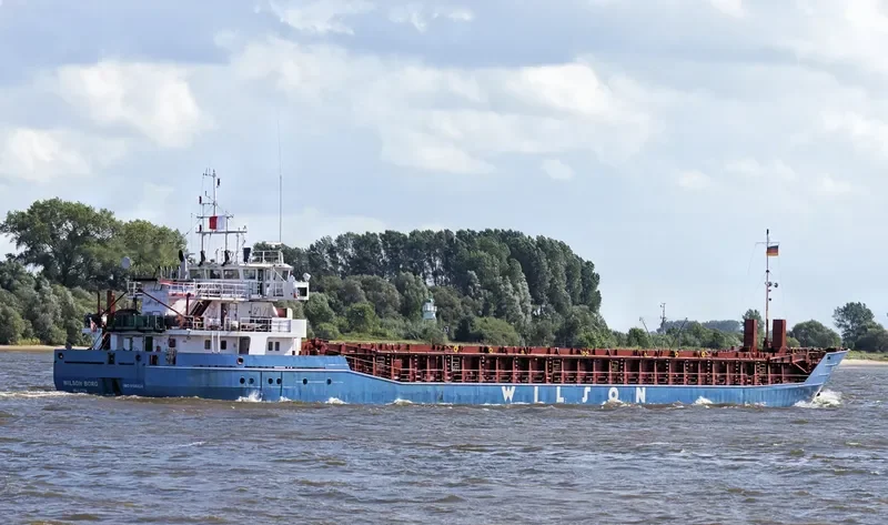 WILSON BORG General Cargo IMO 9106924 photo 2