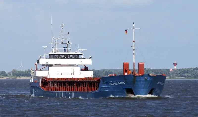 WILSON BORG General Cargo IMO 9106924 photo 4