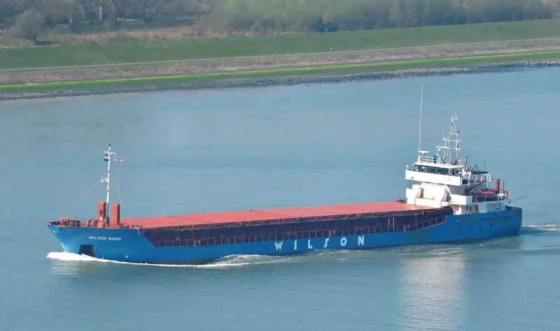WILSON BORG General Cargo IMO 9106924 photo 6